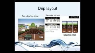 Water Conservation    Landscape Design Strategies