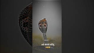 Jay Goga bapa new status || ગોગા બાપા ના સ્ટેટસ