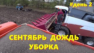 УБОРКА ПОДСОЛНЕЧНИКА МЕЖДУ ДОЖДЯМИ 2024 /НАЛАДИЛИ РАБОТУ /МАСЛИЧНЫЙ КРАЙ