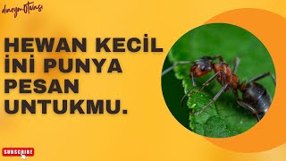 4 Pesan Menjalani Hidup dari Semut, Mengajari Kepedulian.