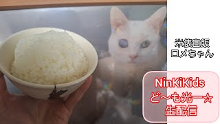 NinKiKids ど～も光一☆生配信