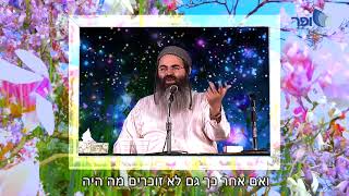 להרויח שני עולמות [פילדלפיה 2002] | חוזרים בעבר | קליפ - הרב אמנון יצחק