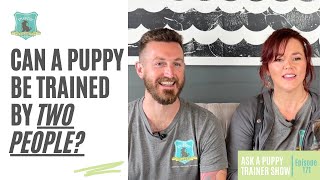 Can A Puppy Be Trained By Two People? | AAPTS Ep. 171