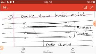 Double strand break model of homologous recombination | Recombination | Hindi | Part -4