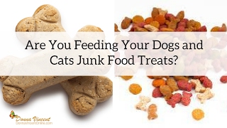 Pet Nutrition: Are You Undoing The Good, of High-Quality Food, By Feeding Low Quality Treats?