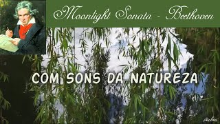 Moonlight Sonata (by Beethoven) - Beethoven | Com som e vídeo da Natureza | Acalmar | Relaxar