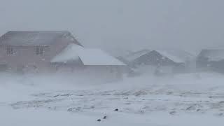 Easter snow storm hits South Dakota dumping 2 inches of snow per hour!