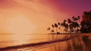 Tropical Beach & Palms Trees on a Island, Ocean Sounds, Yellow Sunset, White Noise for Sleeping