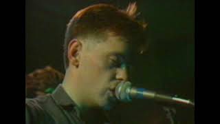 New Order - Denial