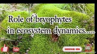 Role of bryophytes in ecosystem dynamic in Hindi