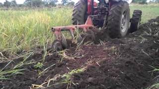 Sudan farming