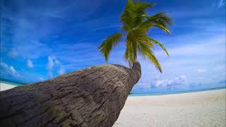 Incredible Maldives | Royalty Free | Stock Footage | No Copyright Videos