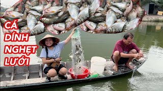 TRÚNG ĐẬM • Thả 2 Tay Lưới 5 Dính Gần 70 Con Cá • Fishing | Bông Lúa Đồng Tháp