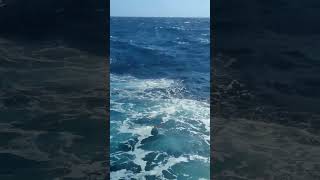 Huge wave at Tablas Island Philippines #shorts