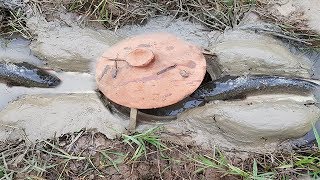 Deep Hole Fish Trap With Pot  -How To Catch Fishes And Crabs In My Village