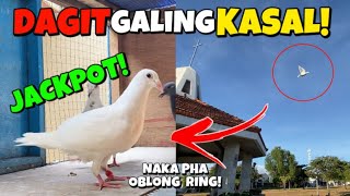 NADAGIT KO ANG KALAPATI SA KASAL!! NAKA PHA OBLONG RING PA, ANG GANDA, SWERTE!!