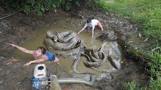 Full video: Fishing Technology a Large Capacity Pump Sucks Water Find Monster in The Wild Lake