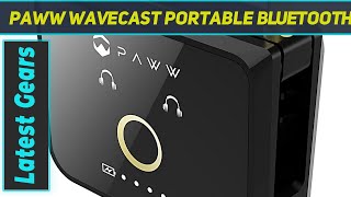 Paww WaveCast Portable Bluetooth 5.0 Audio Transmitter - Review 2023