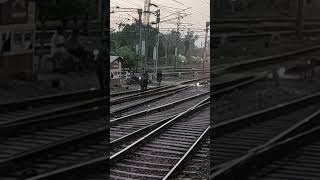 cow & train, comming the same track #youtubeshorts #shortvideo