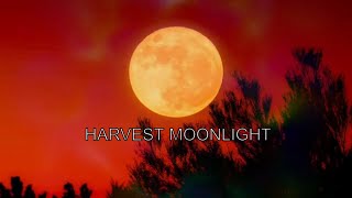 Harvest Moonlight. A Wiccan Song For The Harvest Moon