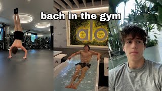 Vlog: bach in the gym - bachbuquen (TikTok)