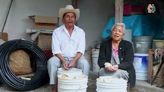 Historia de Vida PCD #Chiapas | Isidra y Pedro