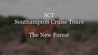 Southampton Cruise Tours The New Forest