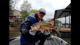 Anglers In Action - Lake Ozark - Day 2 Prep