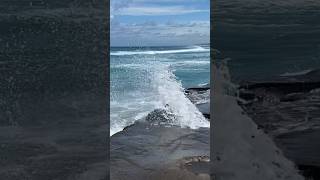 Muriwai Beach NZ