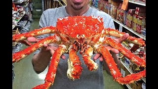 Amazing Crab Worth a Luxury Car