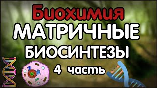 Биохимия. Лекция 38. Матричные биосинтезы. ДНК-технологии.