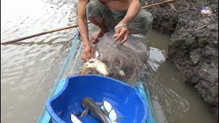 Chài bắt cá về nấu canh chua cơm mẻ | Catch fish in vietnam