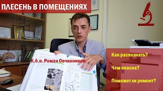 Проблема плесневых грибков в жилых помещениях. Отвечаю на вопросы. К.б.н. Роман Овчинников, 2023.