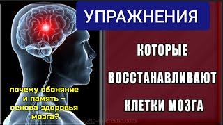 Мозг погибает, когда теряется НЮХ и ПАМЯТЬ. Укрепите среднюю мозговую и клиновидно-нёбную артерию