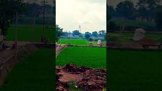 Kitni Dur aaj kitni dur hai O Chandan Tera Gaon Re #video my new vlogs very beautiful😍 गाँव