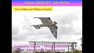 ハヤブサ型羽ばたき機　Falcon30iVV1ST 192ｇ : Power Flight and Gliding at Seaside