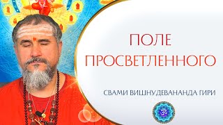 Как действует ПОЛЕ ПРОСВЕТЛЕННОГО на окружающих в живую и он-лайн? | Свами Вишнудевананда Гири