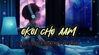 Okoi Cho Aam New Santali Lofi 💞 Song (Soloved + Reverb) Music 🎵!!..