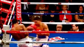 "Cinderella Men" Boxing Knockouts Highlights