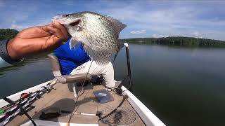 These Slab Crappie Are Going To McDonalds