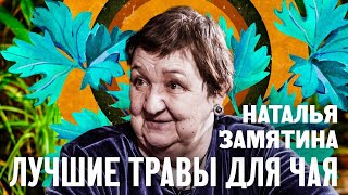 10 лучших трав для чая! Наталья Замятина. Здоровье от природы.