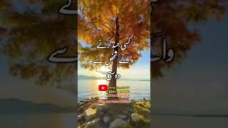 Imam Hussain علیہ السلام Ka Farman | Imam Hussain