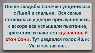 ✡️ Тесная Соня! Еврейские Анекдоты! Про Евреев! Выпуск #388