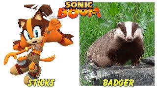 Sonic Boom Characters in Real Life Animals