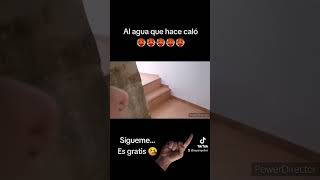 Deseando que llegue el verano 🥰 #tiktok #viral #risas #humor #verano #summer #viral_video #poolparty