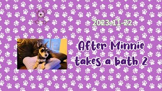 After Minnie Takes A Bath 2  [2023.11.22]