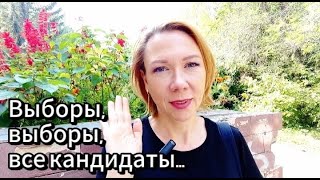 Выборы - механизм захвата власти?