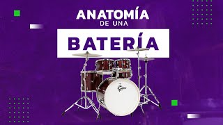 ¿Cuál es la anatomía de una batería?