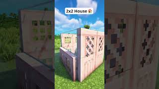 Minecraft 2x2 House🏠 #shorts