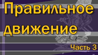 Что такое правильные упражнения? Часть 3/3  [S02E12]